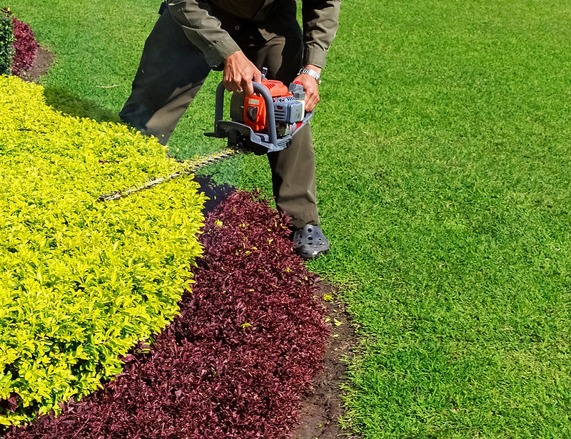 Dahlonega Landscaping crew maintaining a property in the North Georgia mountains