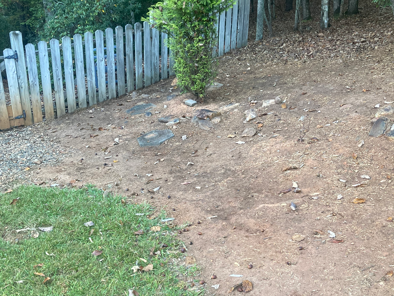 Dahlonega Landscaping before and after project - landscape transformation 11
