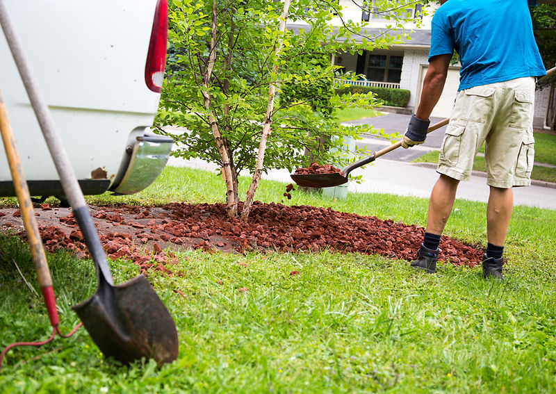 Landscape construction project with stone retaining wall and fresh plantings in Dahlonega